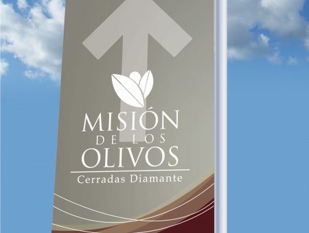 Misión de los Olivos